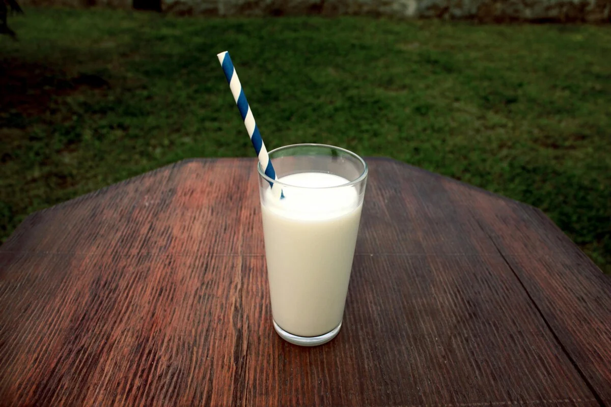 Lactose Intolerant: Everything You Need to Know About Symptoms, Causes & Diet Management